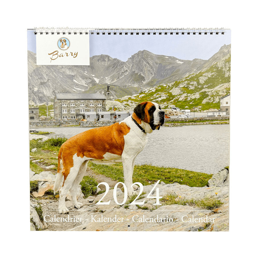 Barry Calendar 2024 Barry Shop